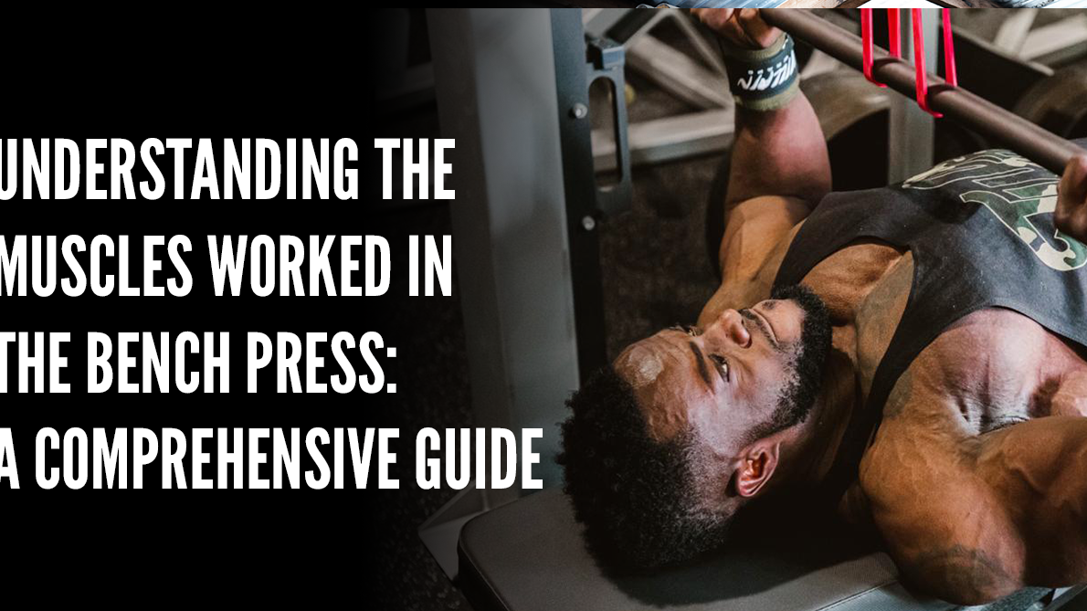 Understanding the Muscles Worked in the Bench Press: A Comprehensive Guide
