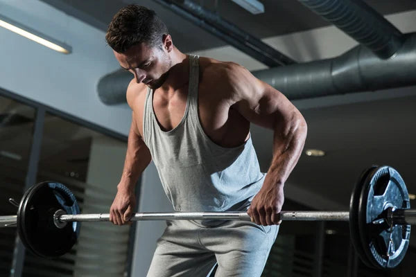 The 15 Best Barbell Back Exercises For a Stronger Upper Body