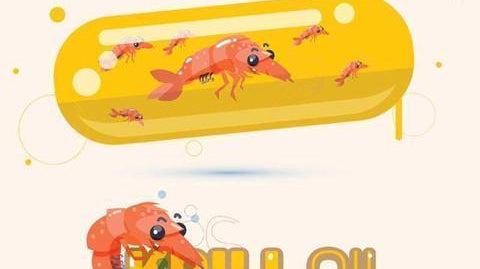 Top 5 Health Benefits From Krill  Oil You Want To Know