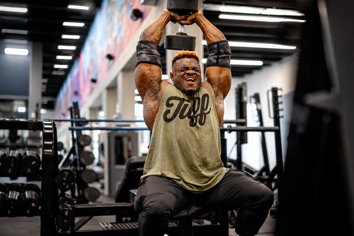 Best Cerberus Strength alternatives for strongman and powerlifting wrist wraps knee sleeves and belts