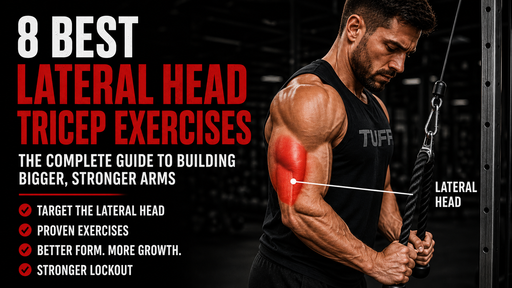 Lateral head tricep exercises cover showing rope pushdown form and highlighted triceps