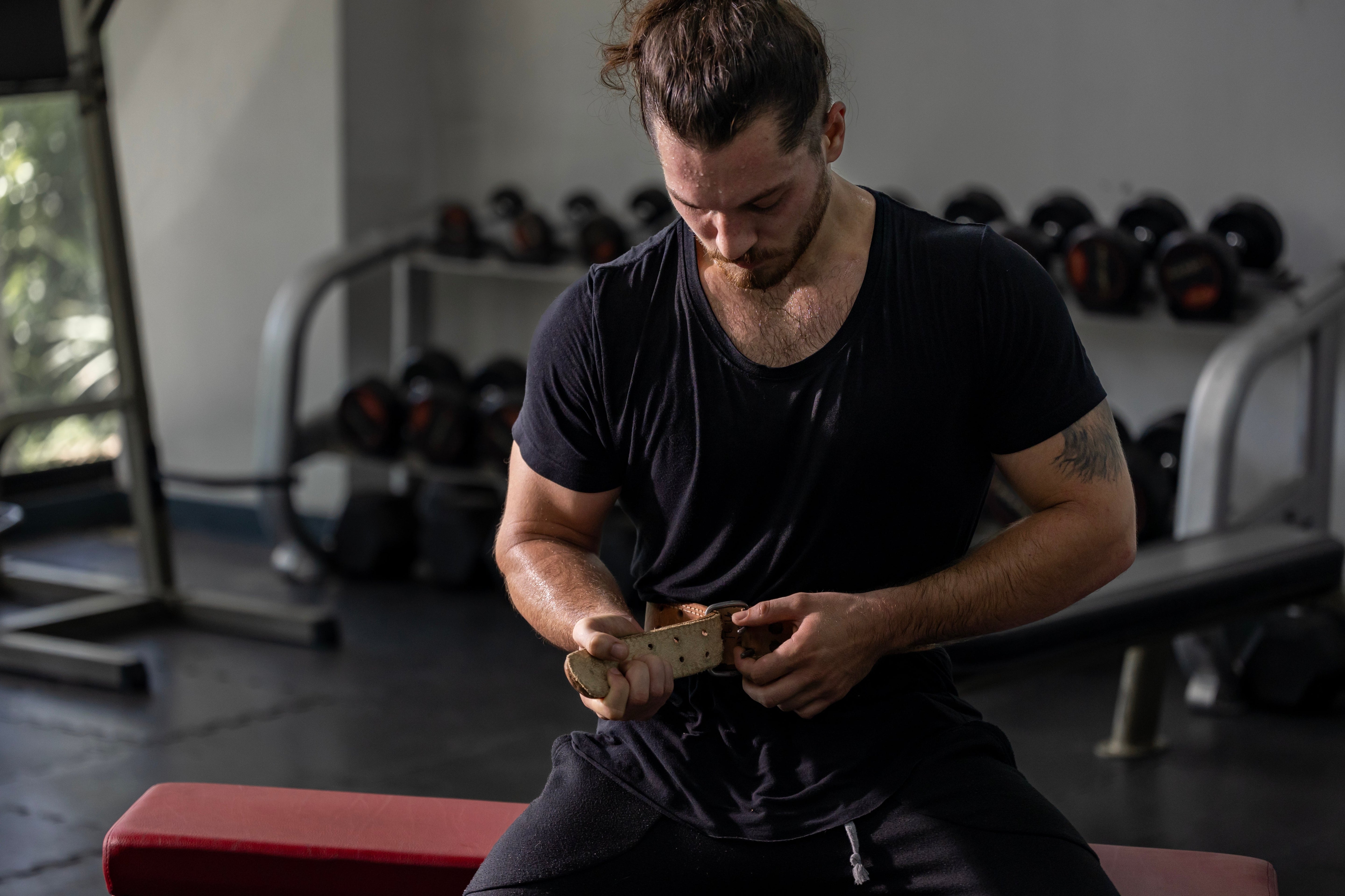 Pioneer fitness alternatives comparison showing various weightlifting belts and powerlifting equipment options