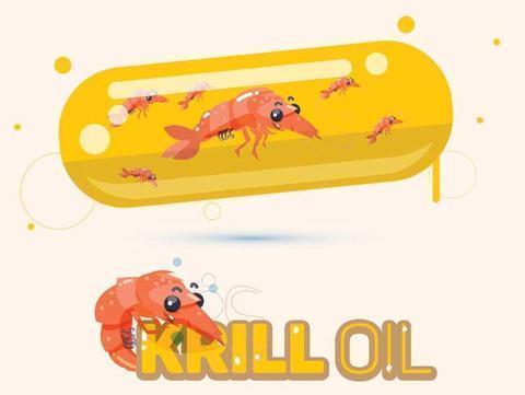 Top 5 Health Benefits From Krill  Oil You Want To Know