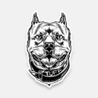 Pitbull Sticker TuffWraps.com